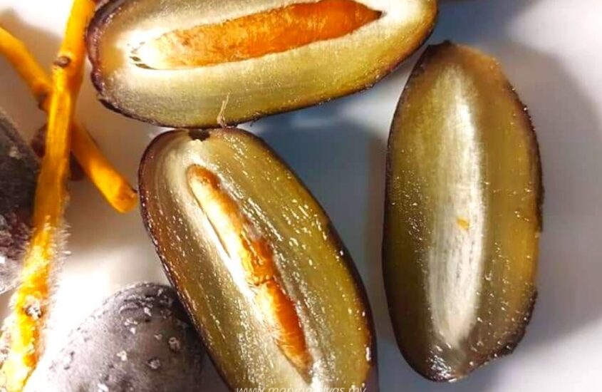 Ganti Puasa? Jom Berbuka Dengan Kurma Sejuk ‘The Cool Dates’