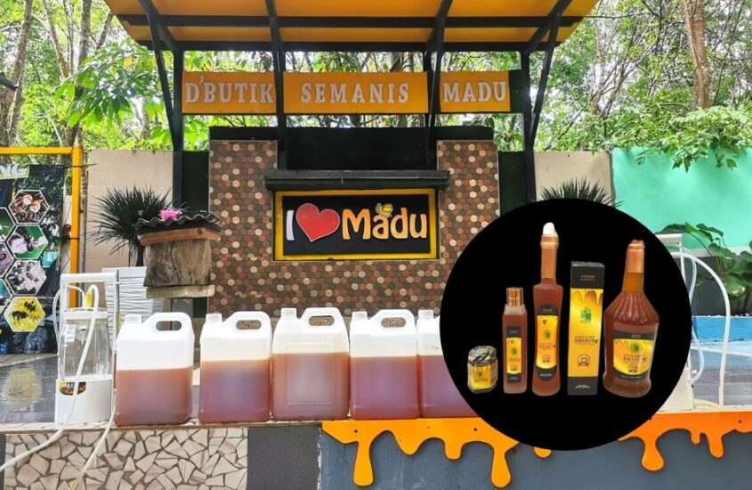 Bagaimana Madu Kelulut Bermanfaat Kuatkan Imun Badan?